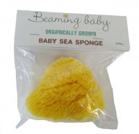 Organically grown and sustainably harvested Small Organically Grown Baby Sea Sponge Buy in bulk and SAVE!